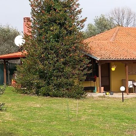 فيلا Olympos House لِتوخورو المظهر الخارجي الصورة