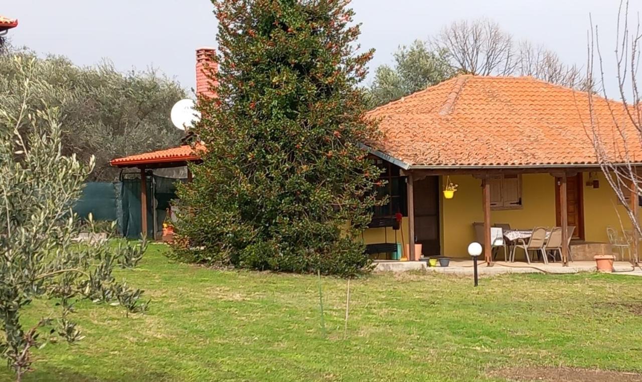 فيلا Olympos House لِتوخورو المظهر الخارجي الصورة